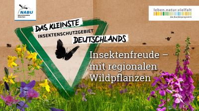 Insektenfreude mit regionalen Wildpflanzen Grafik 