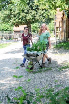 Regionale Wildpflanzen unterwegs zum Beet 